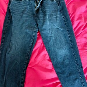 Torrid Dark Blue Ankle Jeans